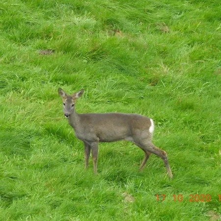 Apartamento Szóstka Kamienna
