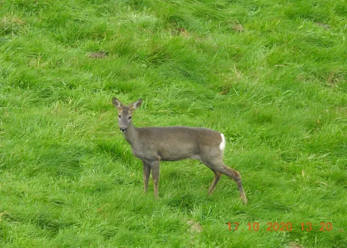 Apartmán Szostka Kamienna