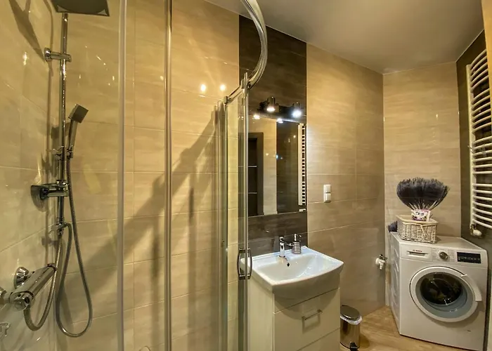 Szostka Kamienna Apartment *